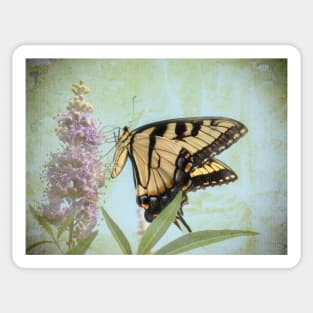 Butterfly Dream Sticker